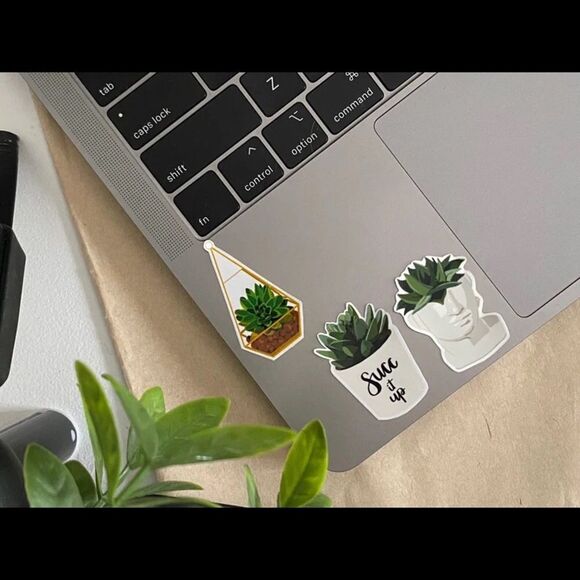 3/$20 Vinyl Glossy Sticker | Succulent Plant Sticker | - Picture 2 of 2